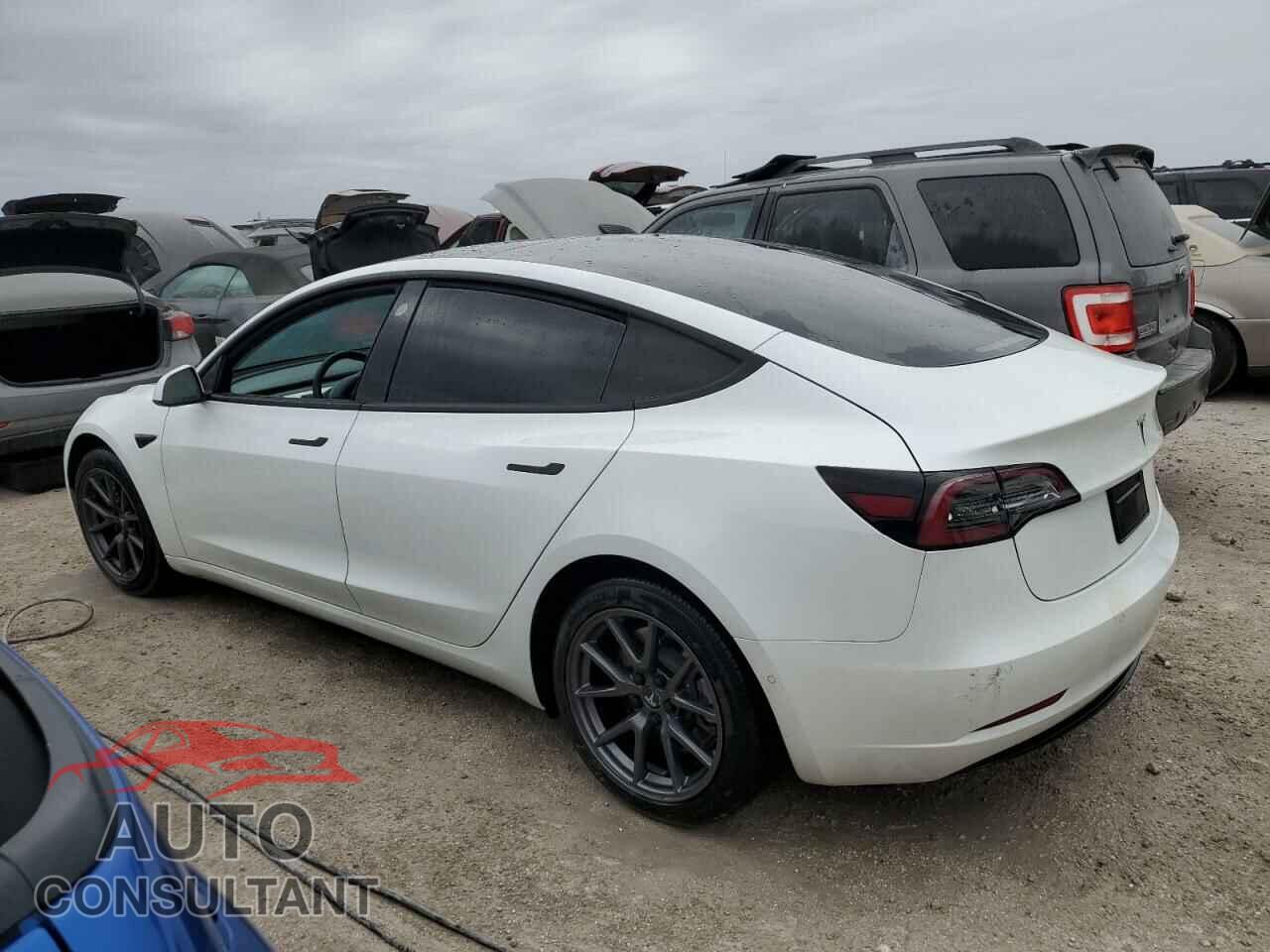 TESLA MODEL 3 2021 - 5YJ3E1EA4MF029398