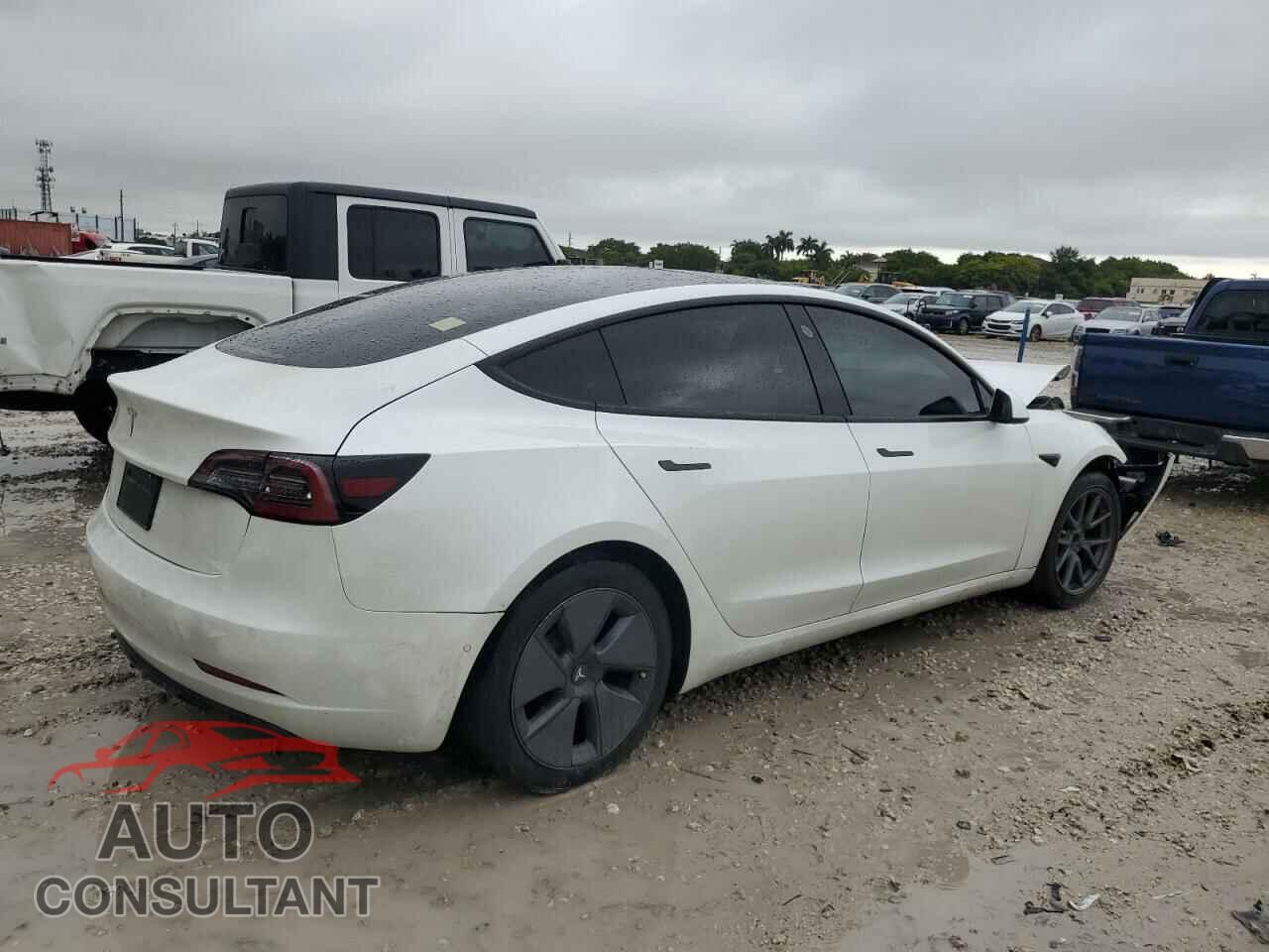 TESLA MODEL 3 2021 - 5YJ3E1EA3MF907922