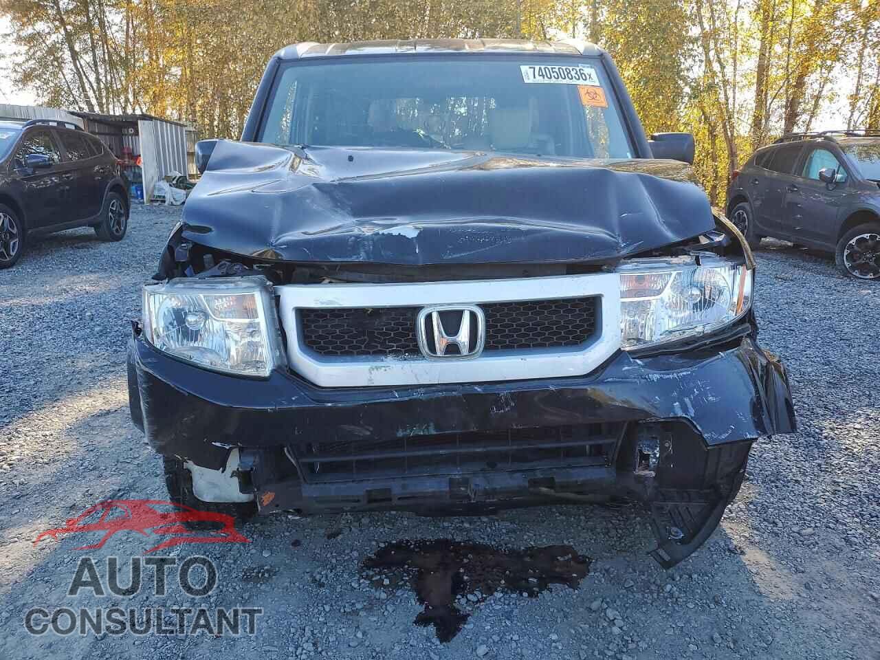 HONDA ELEMENT 2010 - 5J6YH1H33AL006286