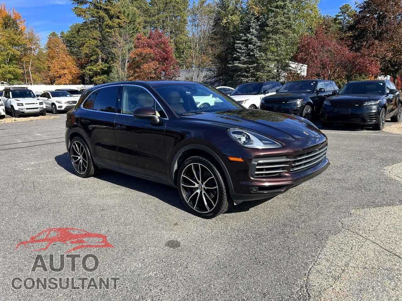 PORSCHE CAYENNE 2019 - WP1AA2AY6KDA03447