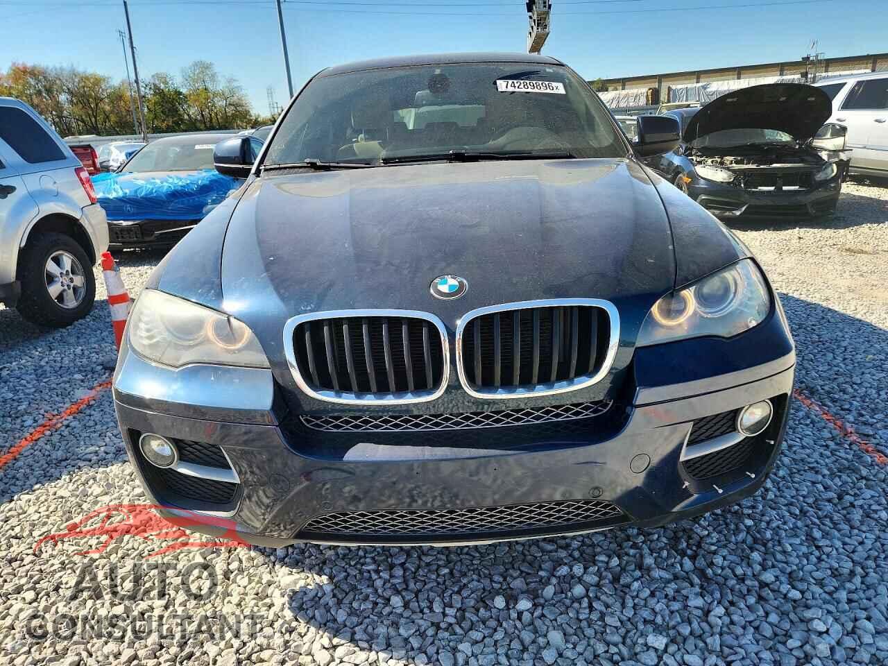 BMW X6 2013 - 5UXFG2C54DL787689