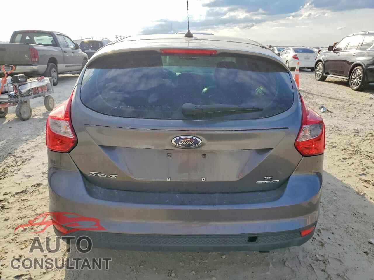 FORD FOCUS 2014 - 1FADP3K29EL443823