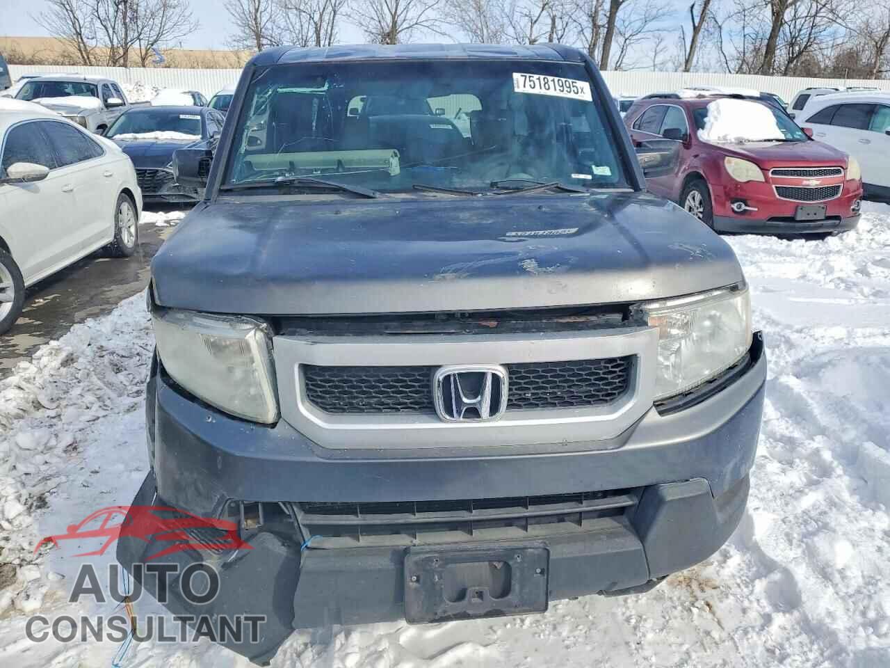 HONDA ELEMENT 2011 - 5J6YH2H70BL003646