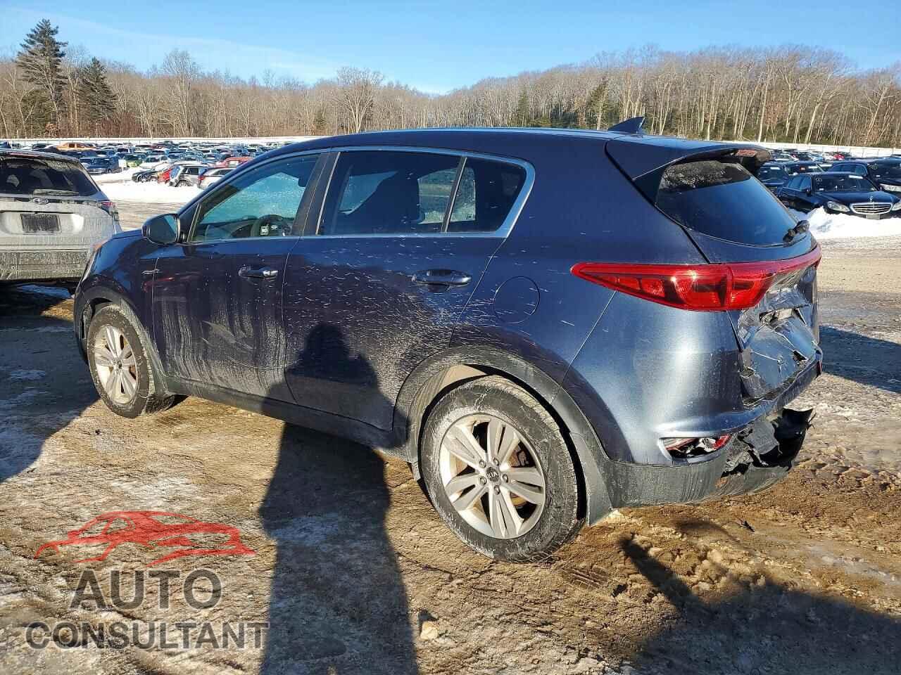 KIA SPORTAGE 2017 - KNDPM3AC2H7233961