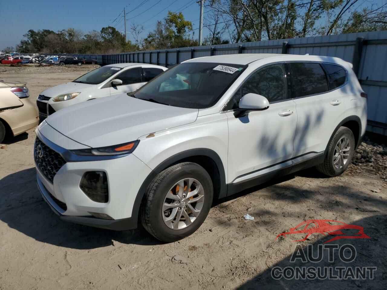 HYUNDAI SANTA FE 2019 - 5NMS33ADXKH099738