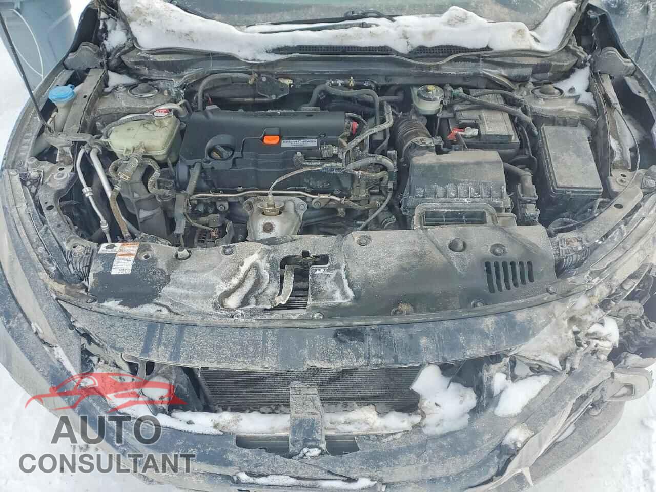 HONDA CIVIC 2019 - 2HGFC2F58KH031688