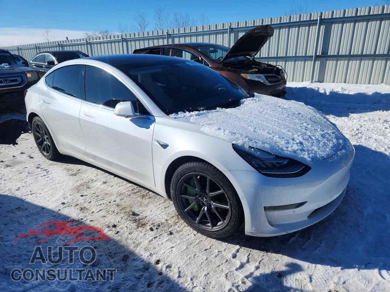 TESLA MODEL 3 2020 - 5YJ3E1EB2LF619736