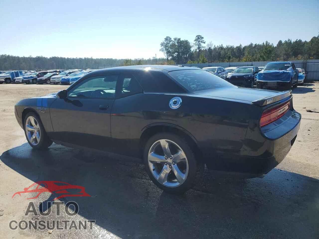DODGE CHALLENGER 2014 - 2C3CDYBT0EH101814