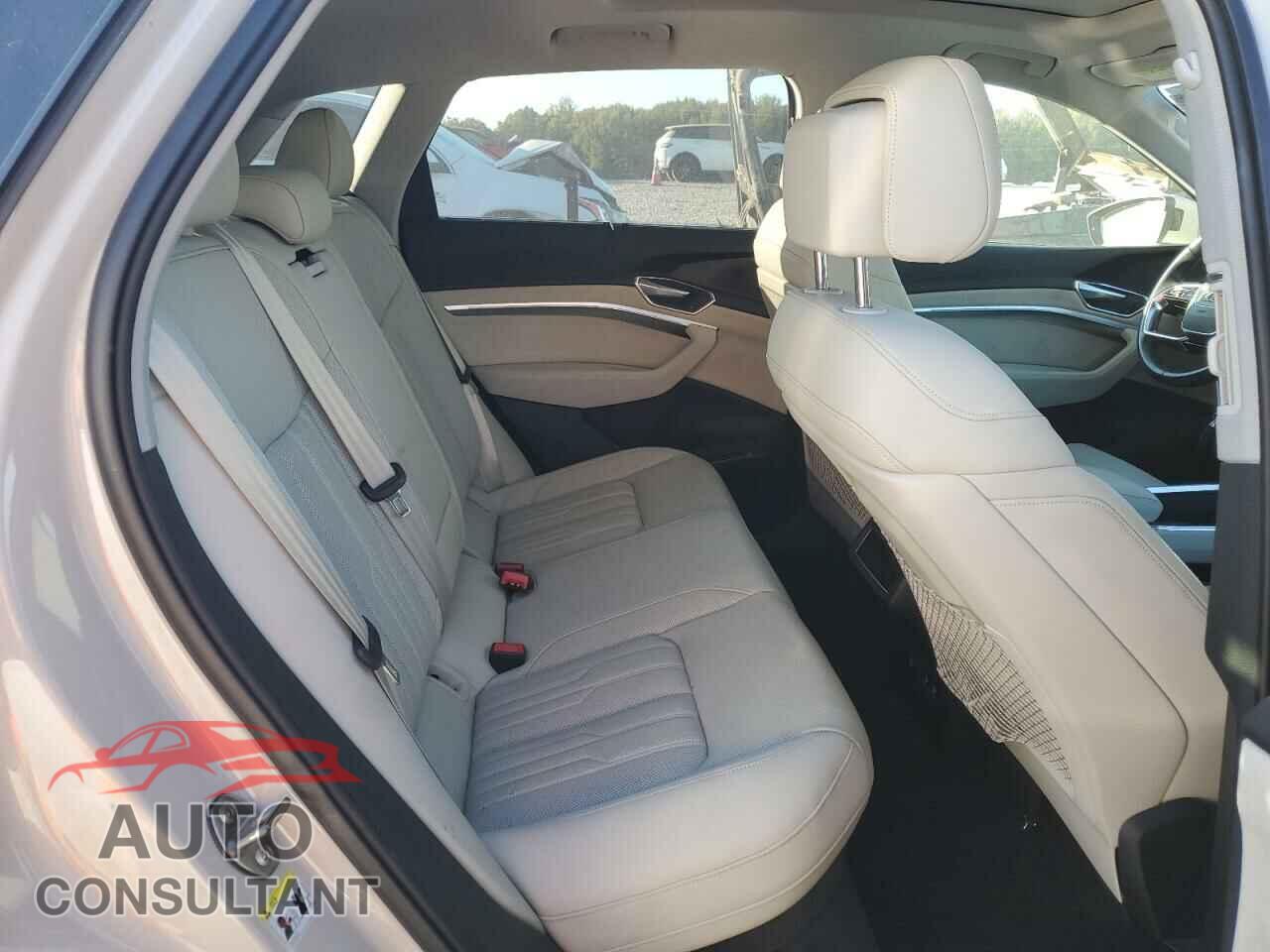 AUDI E-TRON 2019 - WA1VAAGE6KB009040