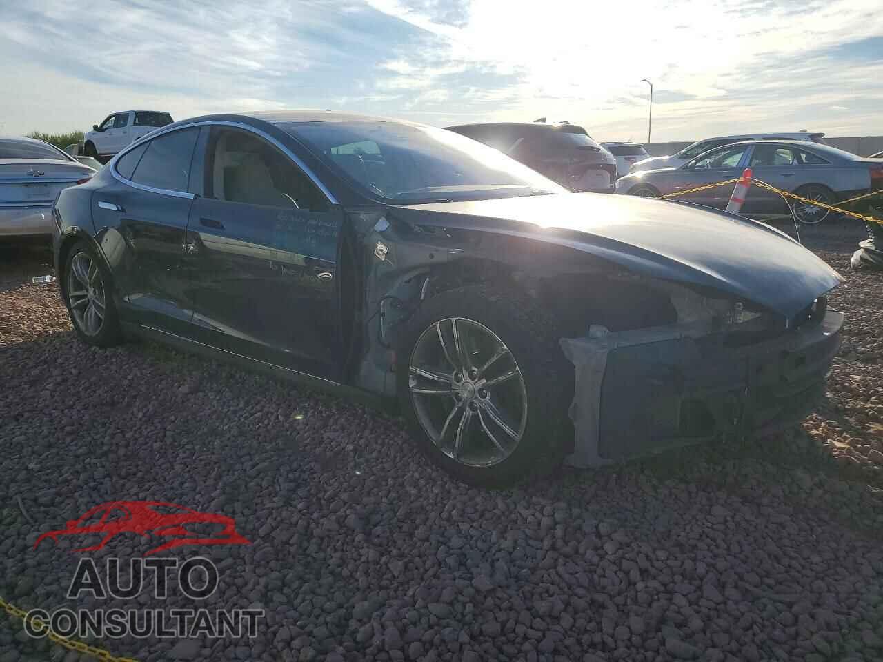 TESLA MODEL S 2013 - 5YJSA1CP1DFP03361