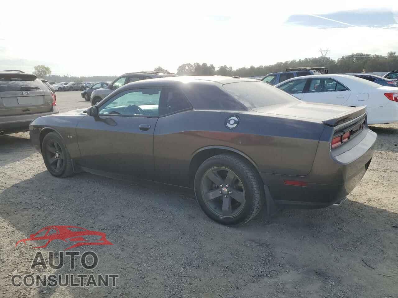 DODGE CHALLENGER 2014 - 2C3CDYBT0EH257576