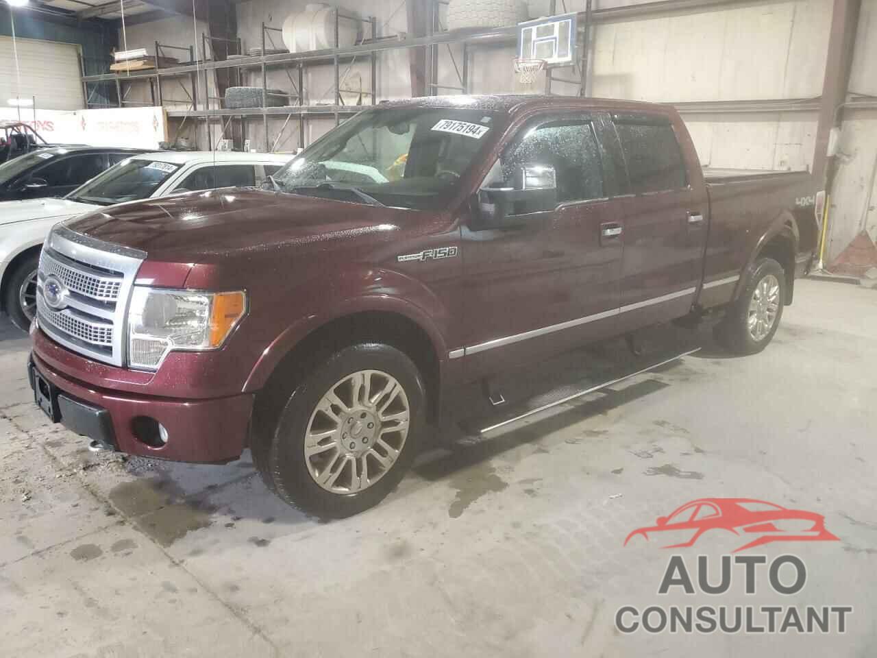 FORD F-150 2009 - 1FTPW14VX9FA02115