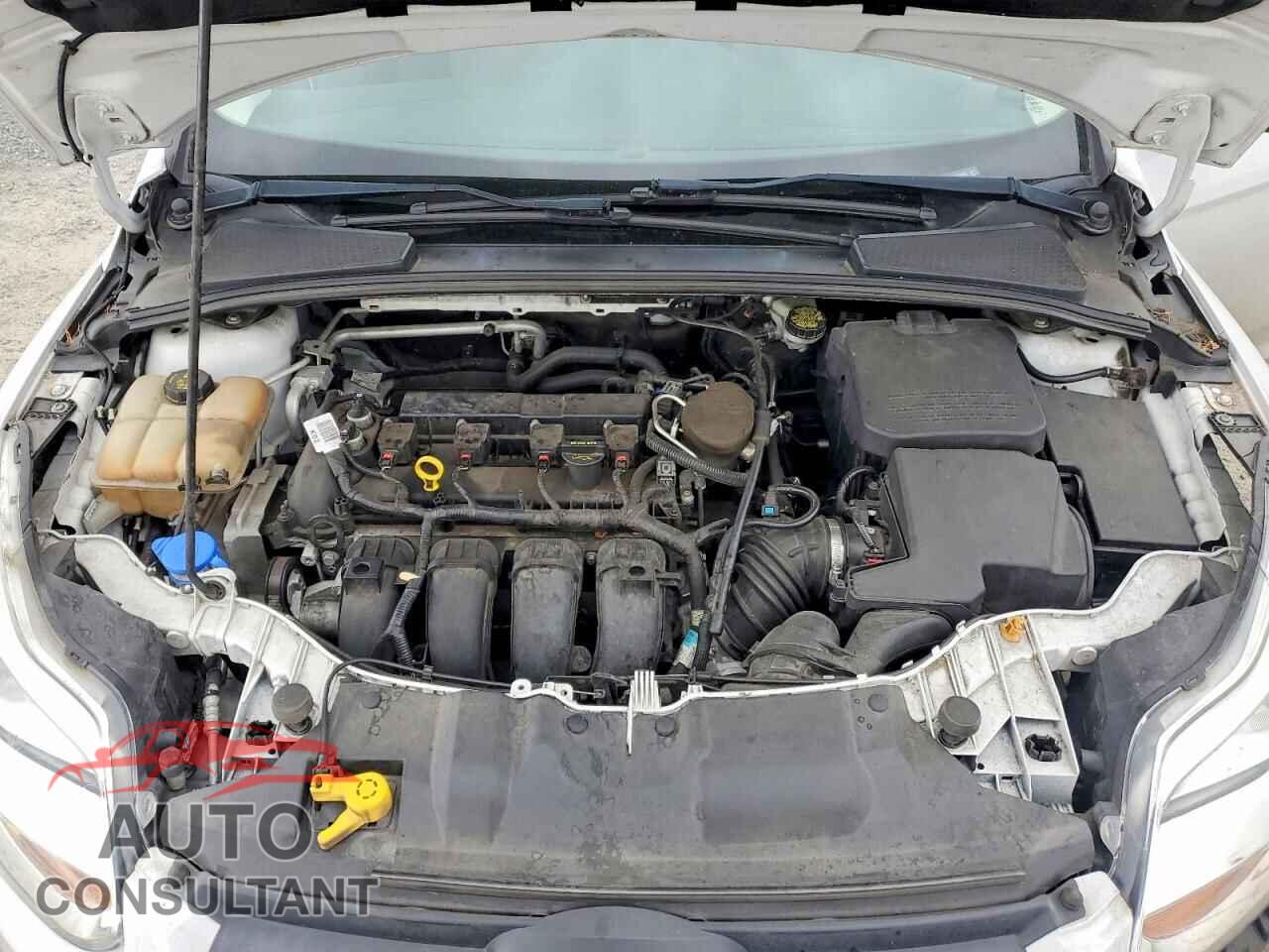 FORD FOCUS 2014 - 1FADP3K28EL144890