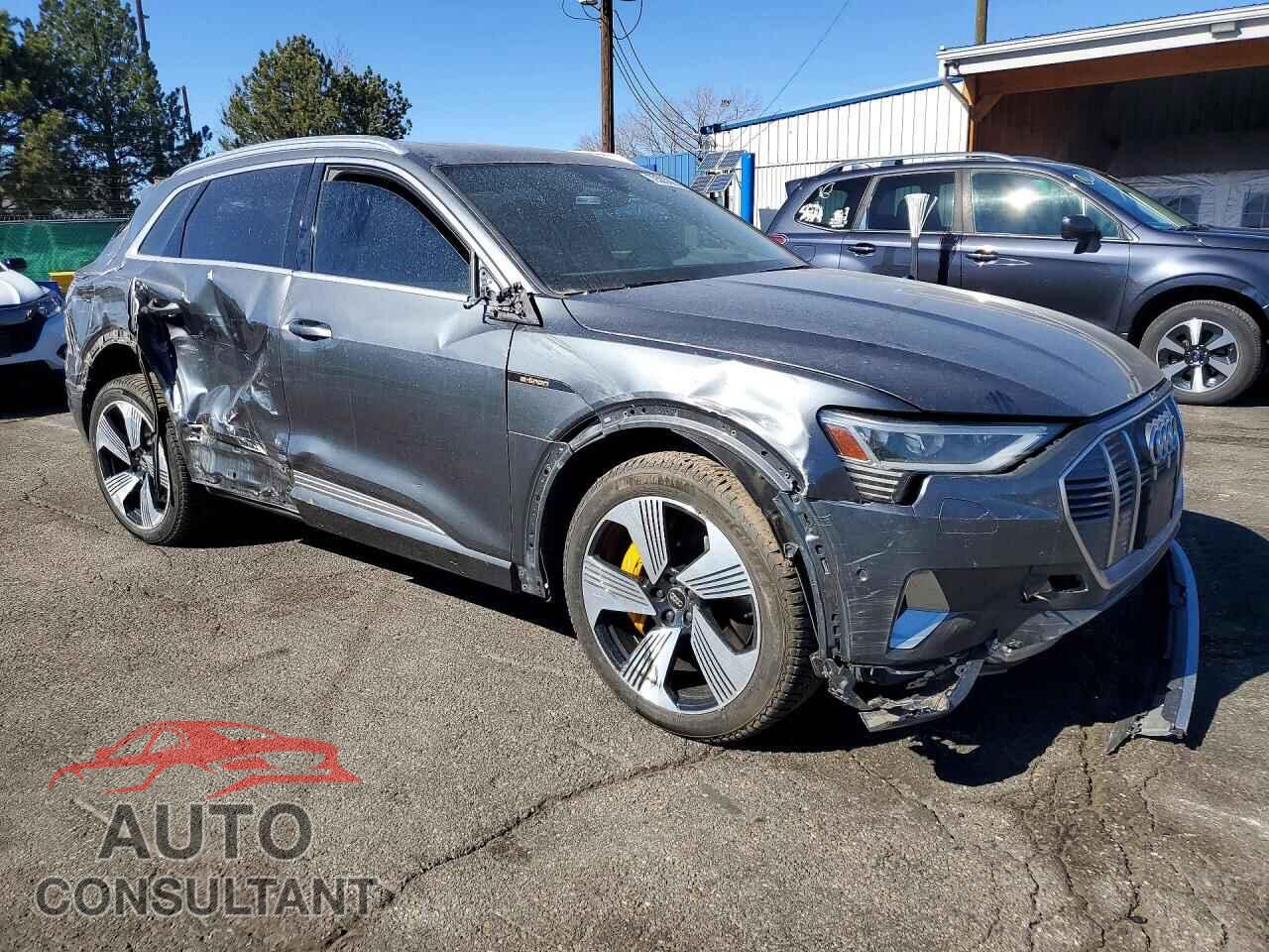 AUDI E-TRON 2019 - WA1VAAGE7KB007314