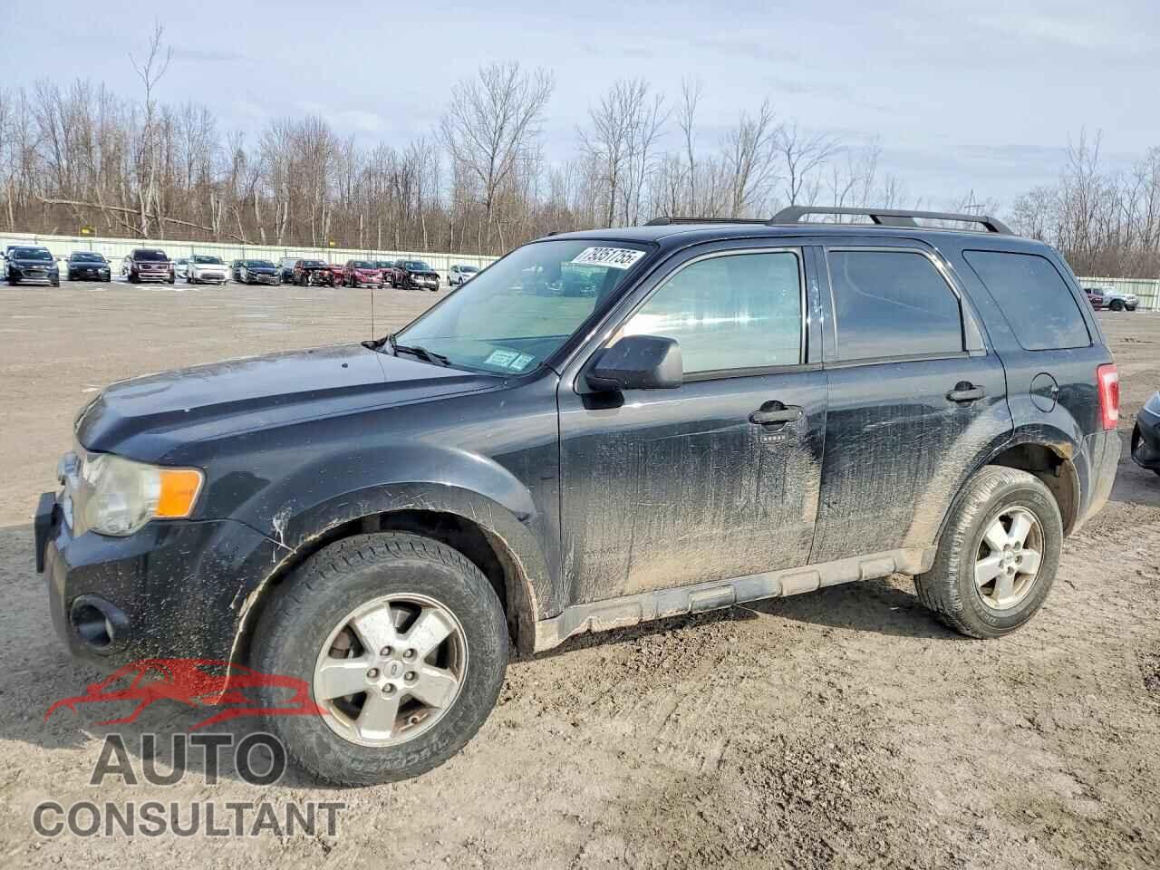 FORD ESCAPE 2010 - 1FMCU0D76AKB29130