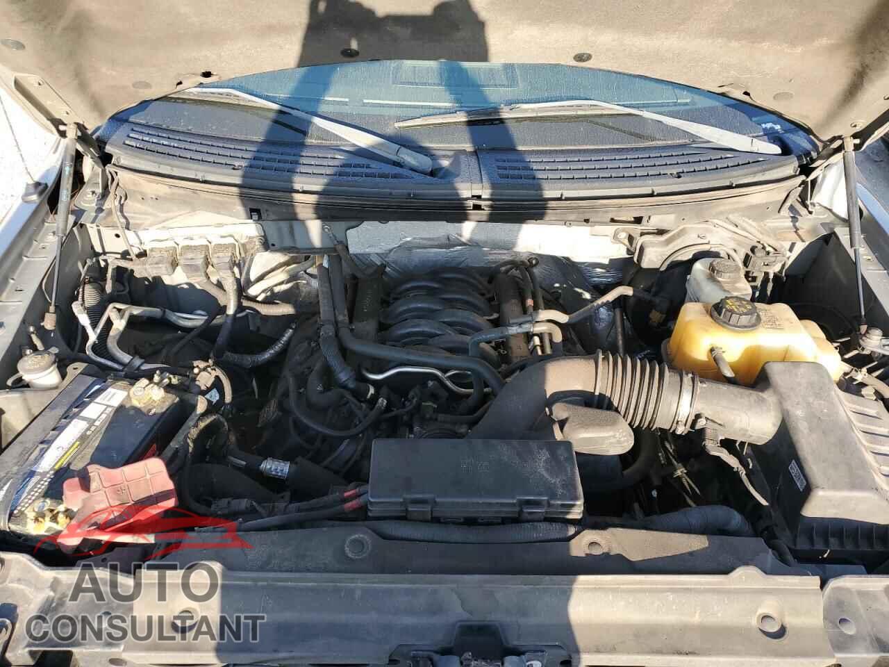 FORD F-150 2013 - 1FTFX1EF4DFD53241