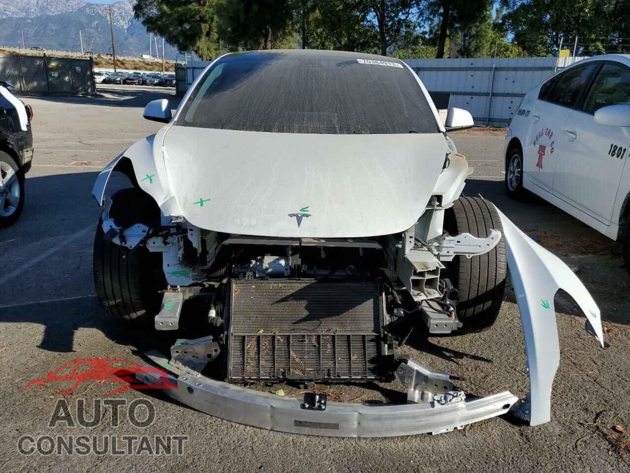 TESLA MODEL 3 2021 - 5YJ3E1EA1MF066408
