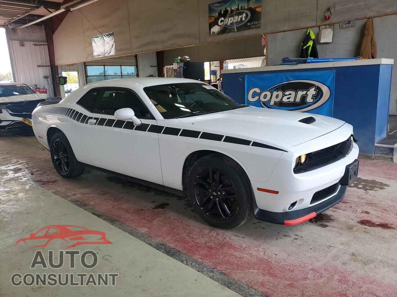 DODGE CHALLENGER 2019 - 2C3CDZKG7KH663522