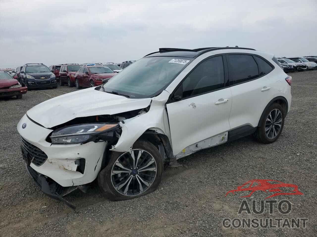 FORD ESCAPE 2021 - 1FMCU0BZXMUB02137