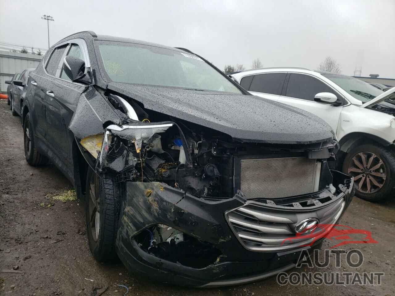 HYUNDAI SANTA FE 2017 - 5NMZUDLBXHH031493