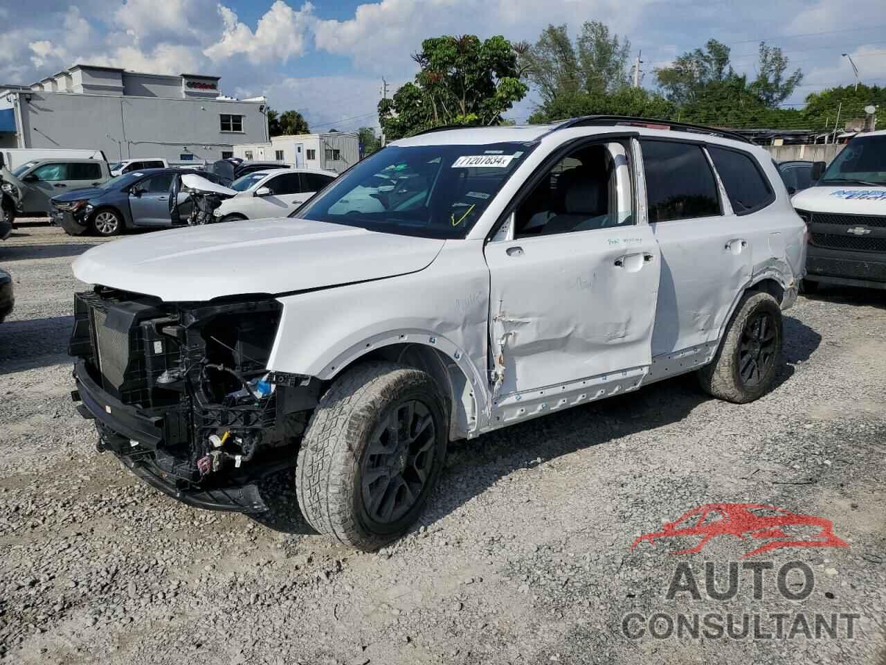 KIA TELLURIDE 2024 - 5XYP5DGCXRG448647