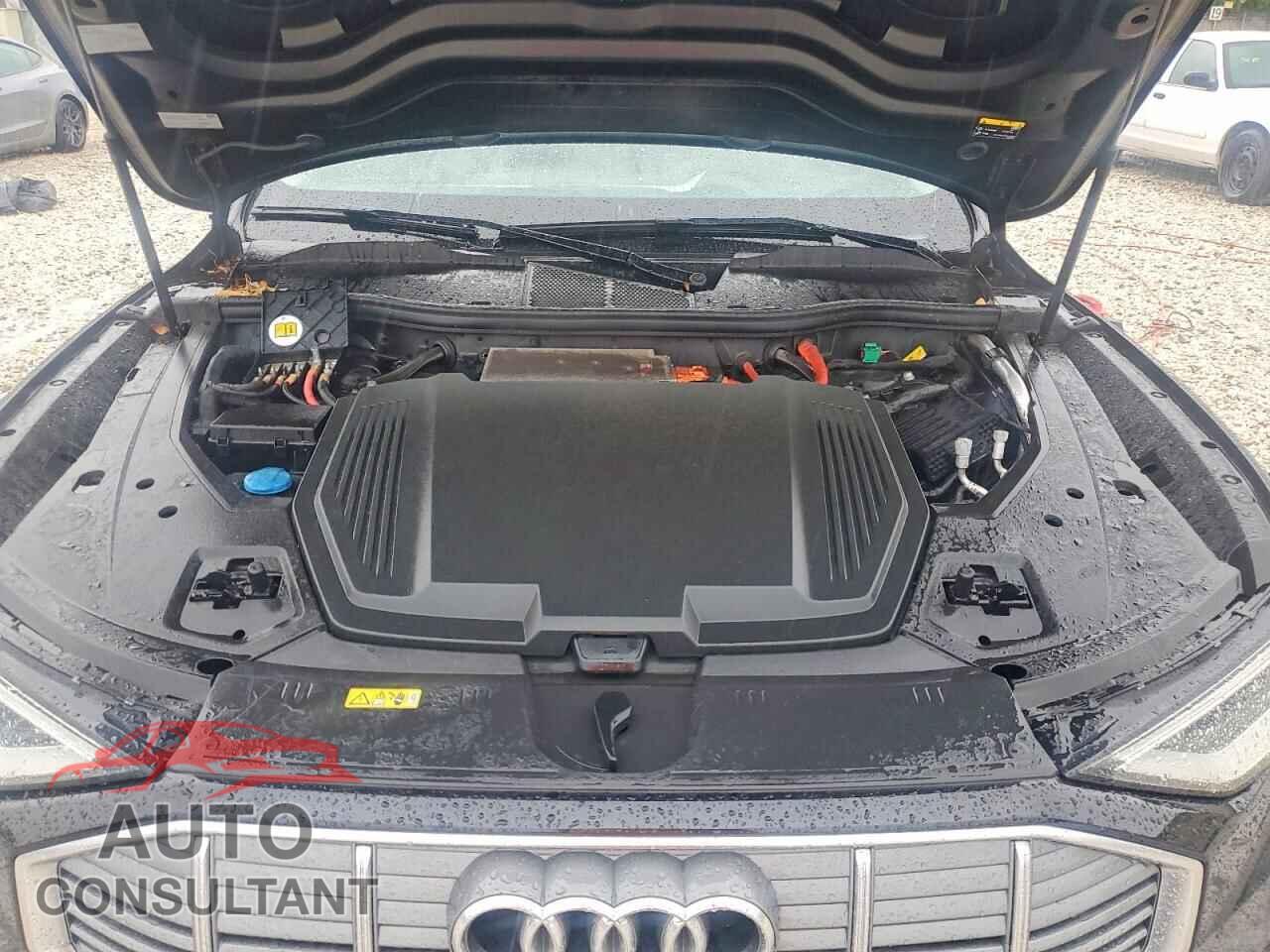 AUDI E-TRON 2019 - WA1VAAGE8KB013008