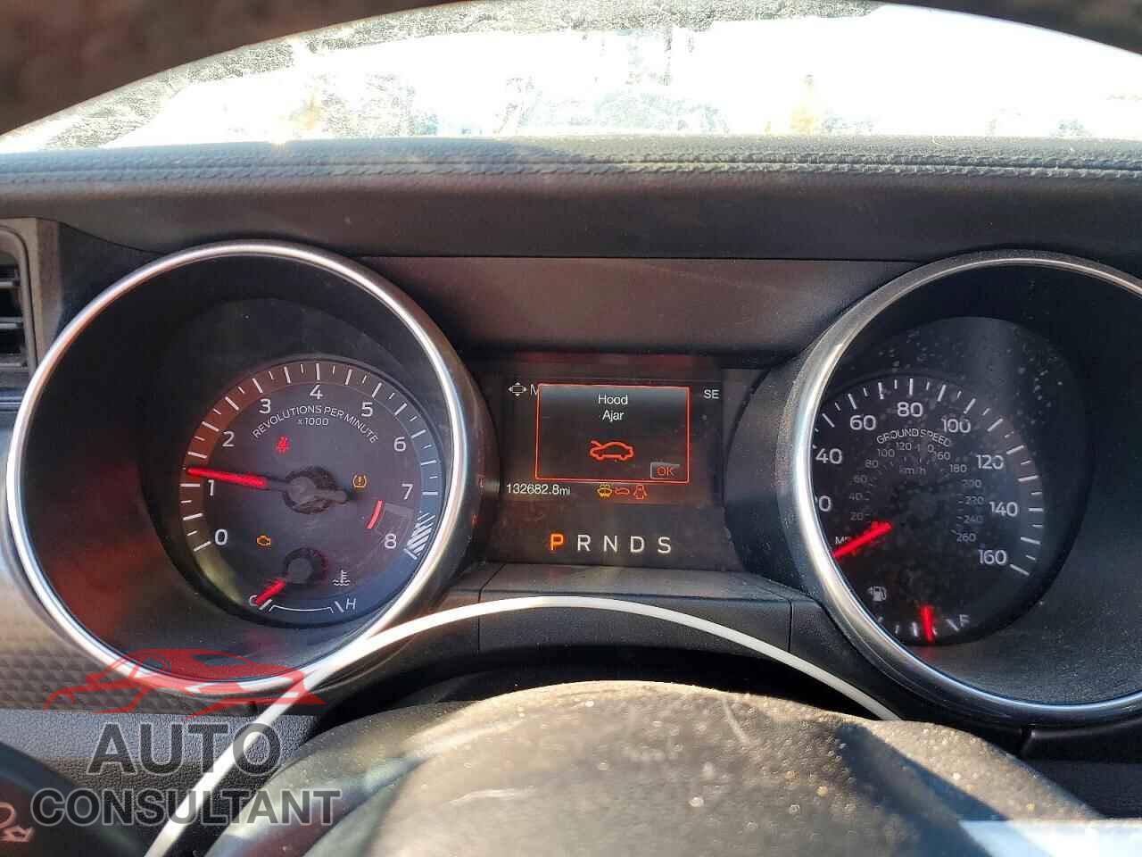 FORD MUSTANG 2019 - 1FA6P8CFXK5116502