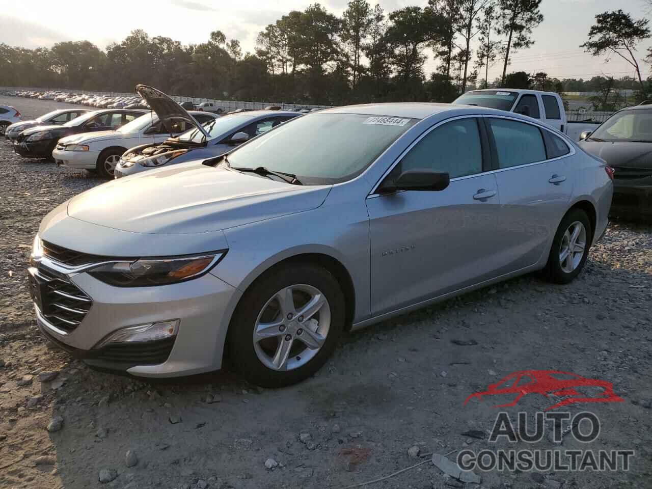CHEVROLET MALIBU 2019 - 1G1ZC5STXKF172595