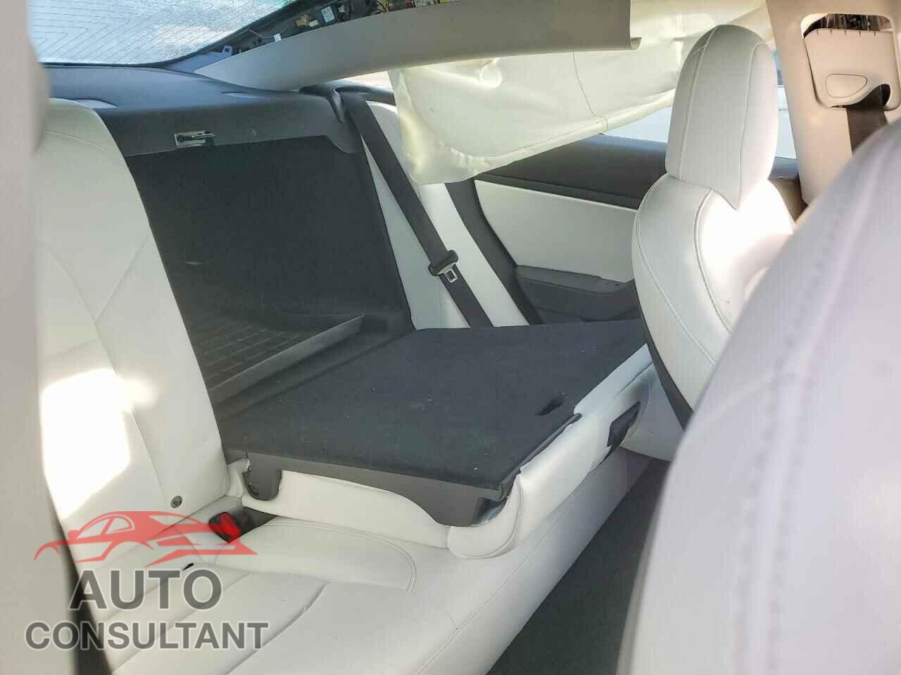 TESLA MODEL 3 2019 - 5YJ3E1EB2KF522499