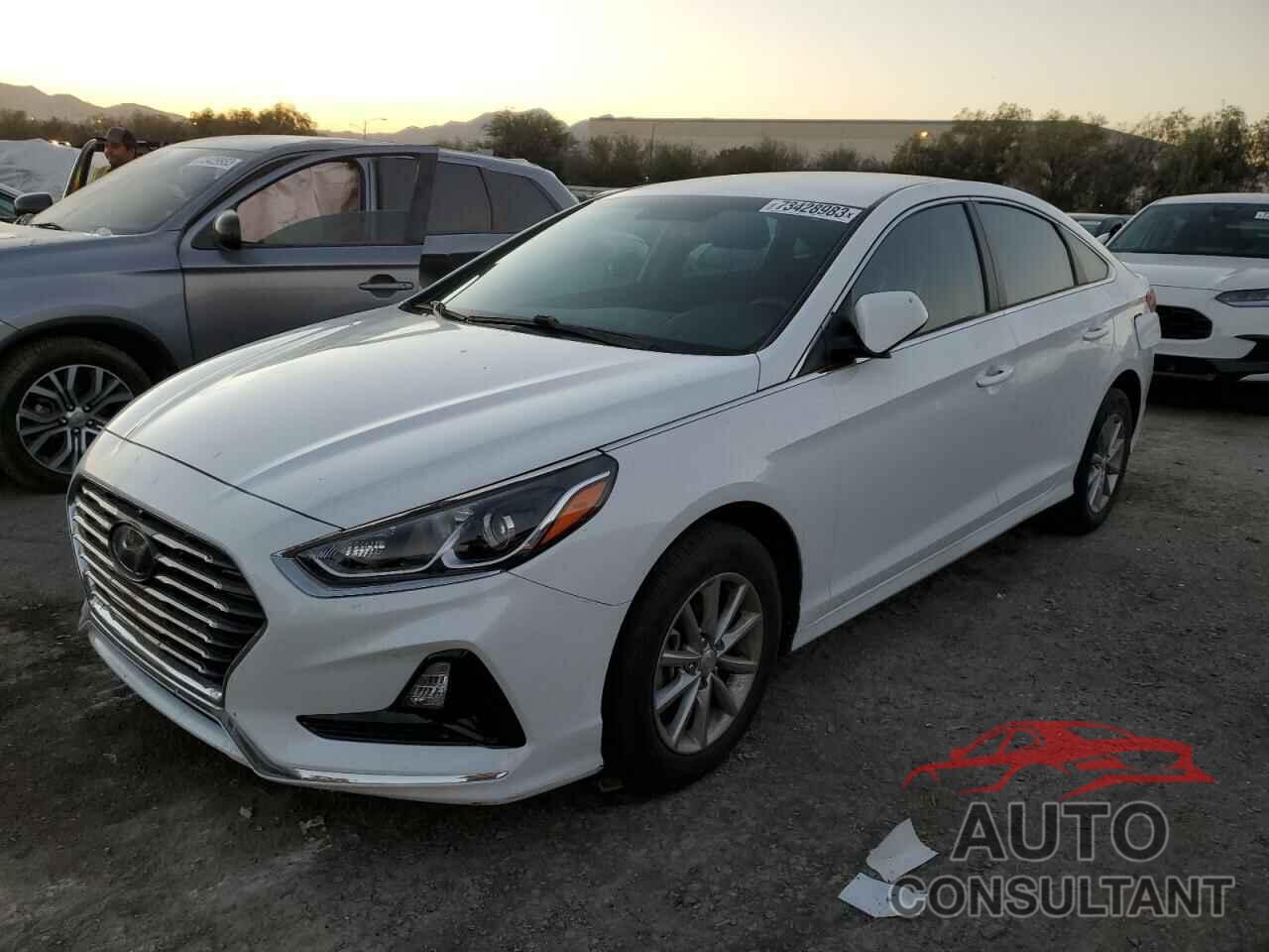 HYUNDAI SONATA 2019 - 5NPE24AF8KH814364