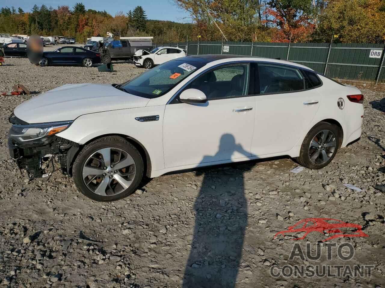 KIA OPTIMA 2019 - 5XXGT4L34KG318014