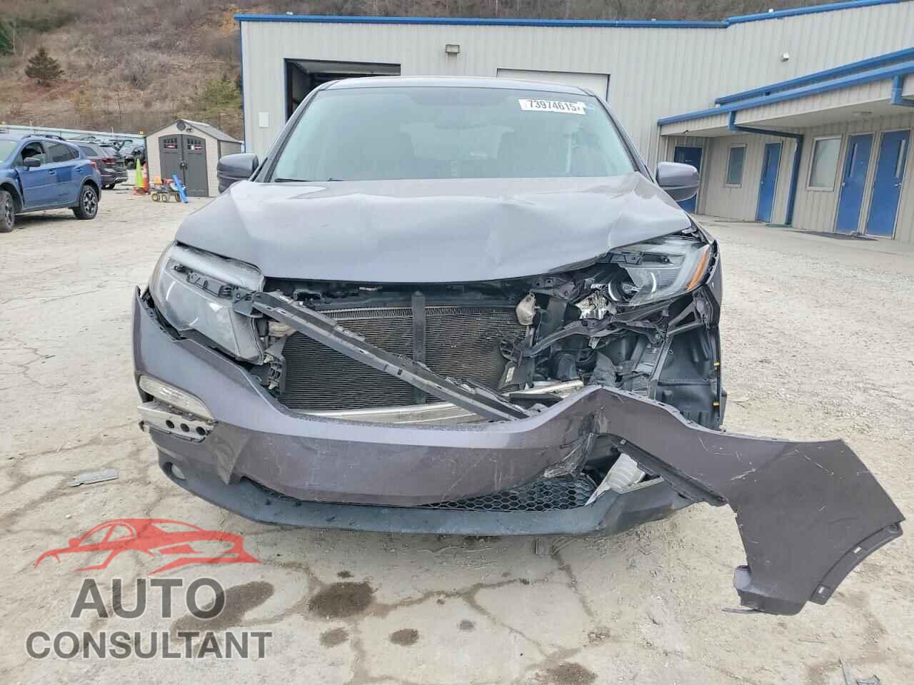 HONDA PILOT 2017 - 5FNYF5H55HB042109