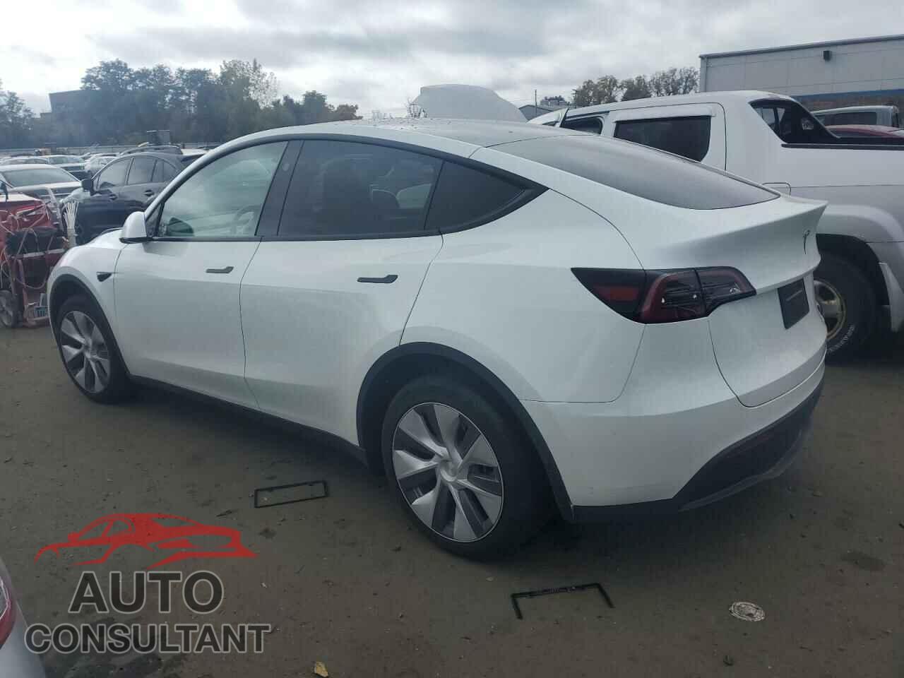 TESLA MODEL Y 2024 - 7SAYGAEE3RF060557