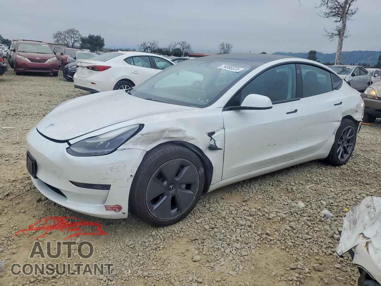 TESLA MODEL 3 2021 - 5YJ3E1EA3MF059122