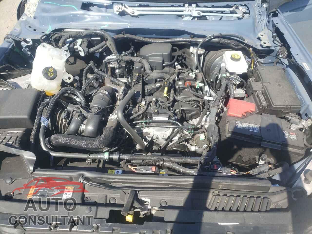 FORD BRONCO 2023 - 1FMEE5DH3PLB80440