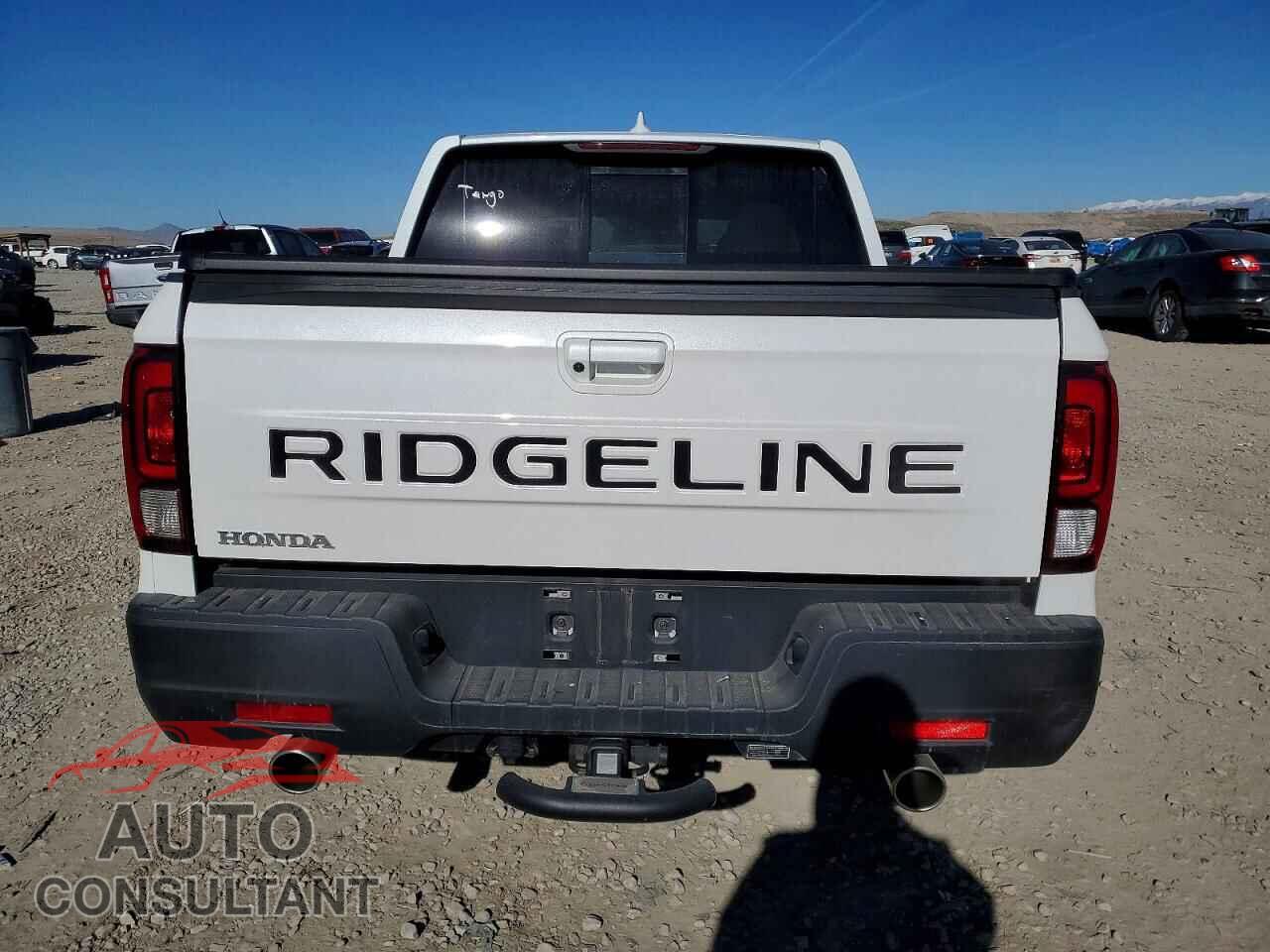HONDA RIDGELINE 2024 - 5FPYK3F5XRB029982
