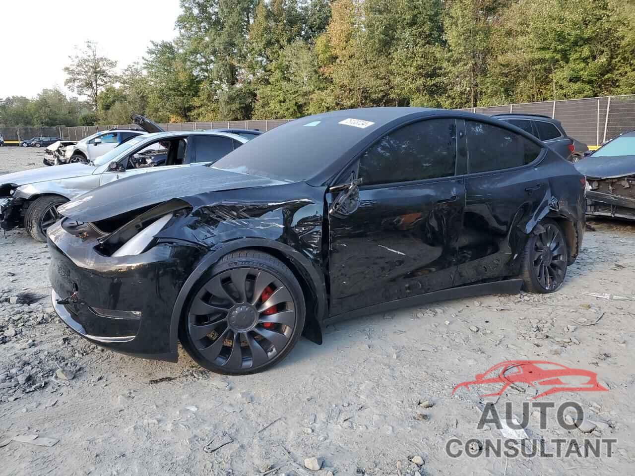 TESLA MODEL Y 2023 - 7SAYGDEF8PF893245