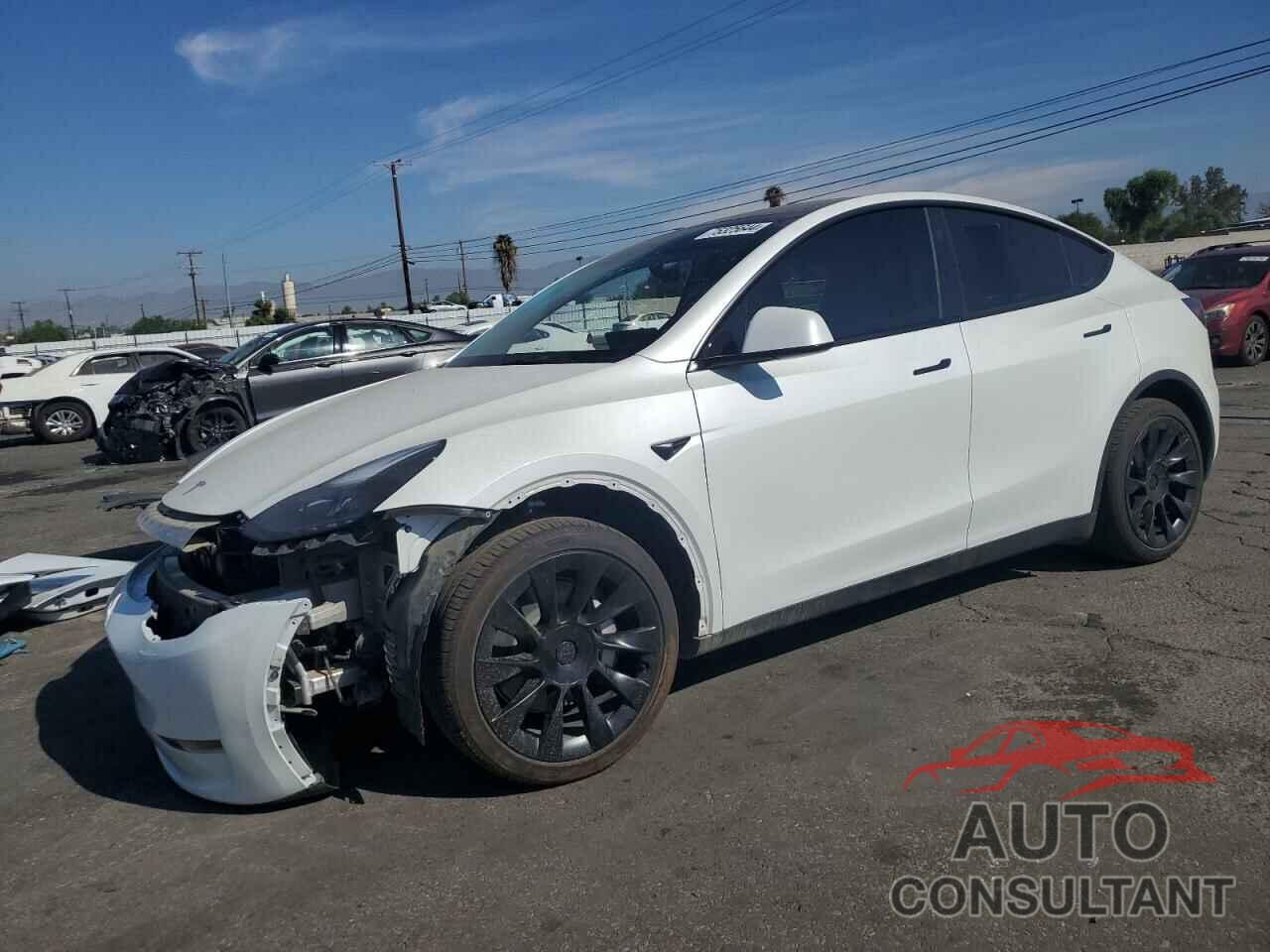 TESLA MODEL Y 2024 - 7SAYGDEE2RF067145