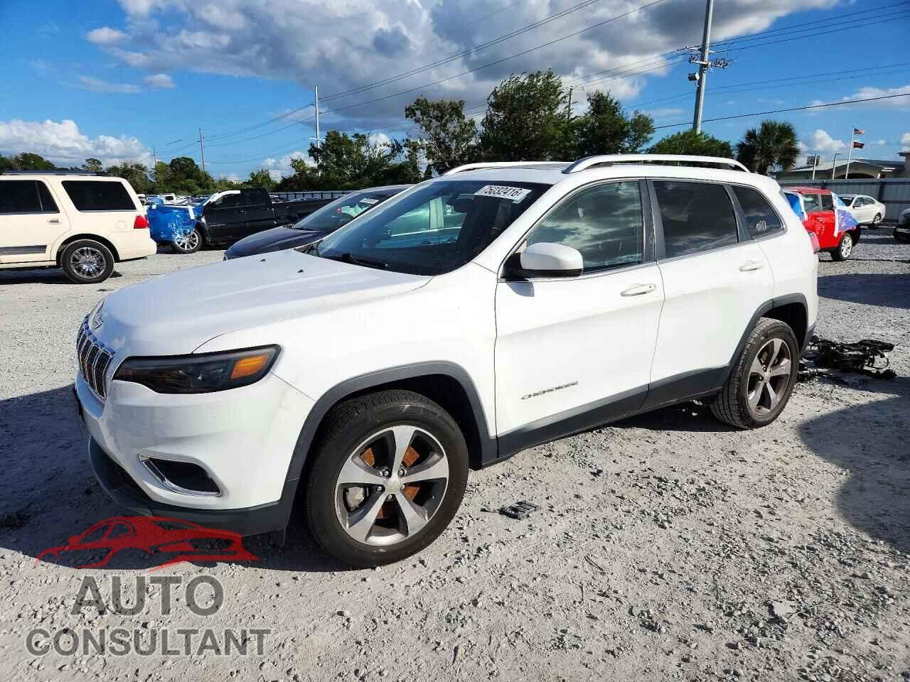 JEEP CHEROKEE 2019 - 1C4PJMDN8KD123789