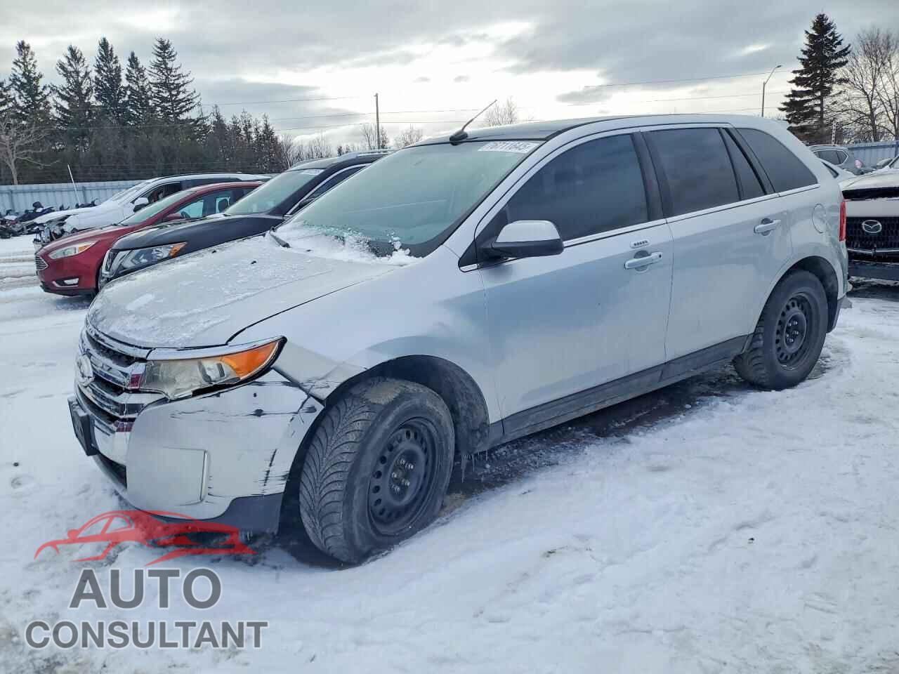 FORD EDGE 2011 - 2FMDK4KC5BBB55893