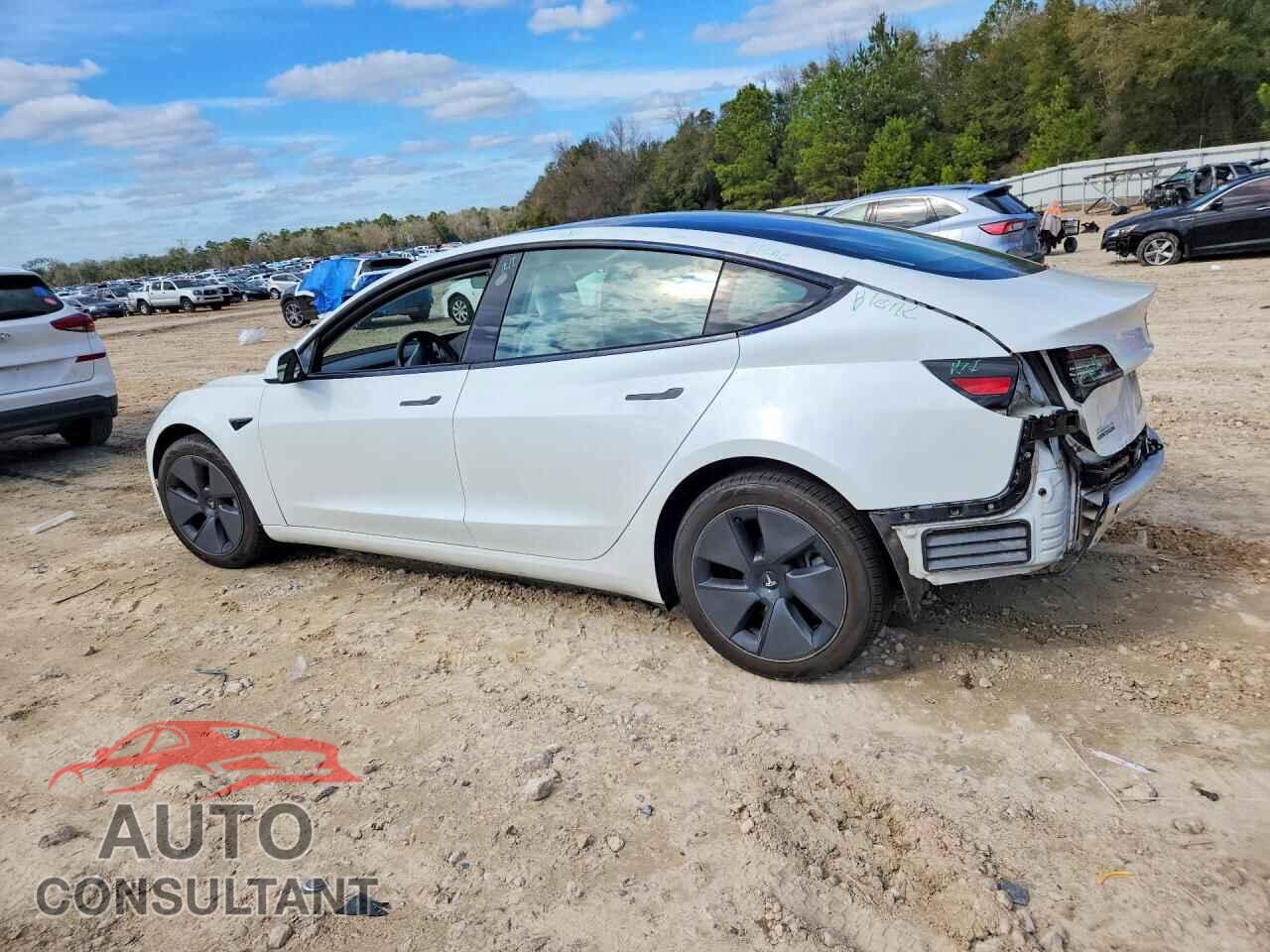 TESLA MODEL 3 2021 - 5YJ3E1EA3MF871066