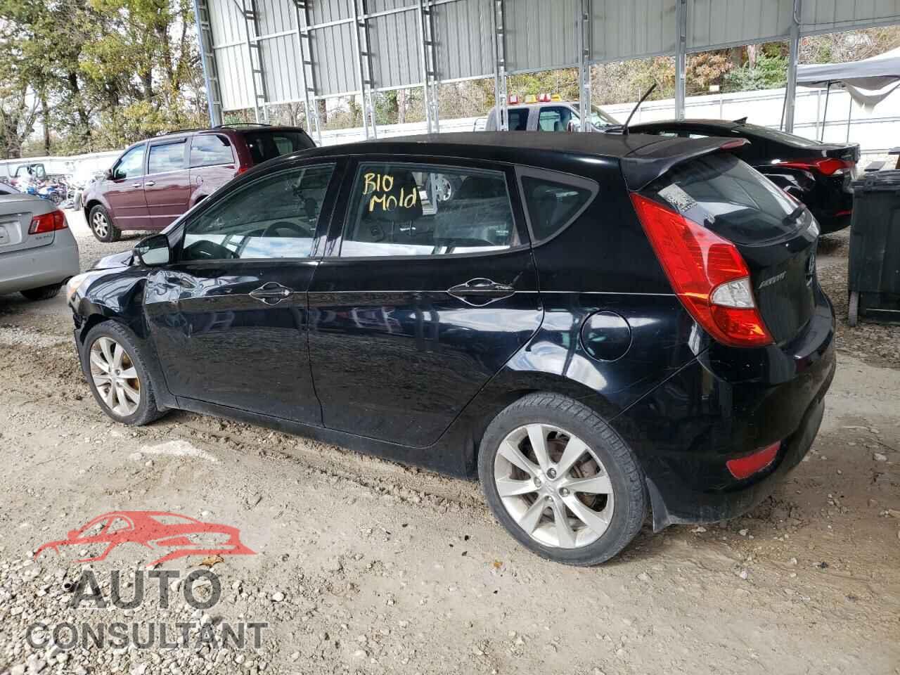 HYUNDAI ACCENT 2014 - KMHCU5AE5EU149668
