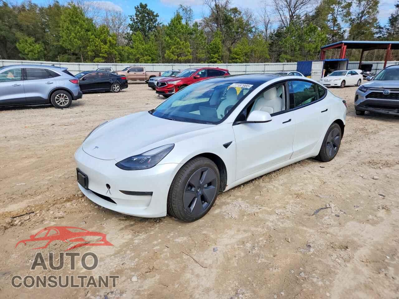 TESLA MODEL 3 2021 - 5YJ3E1EA3MF871066