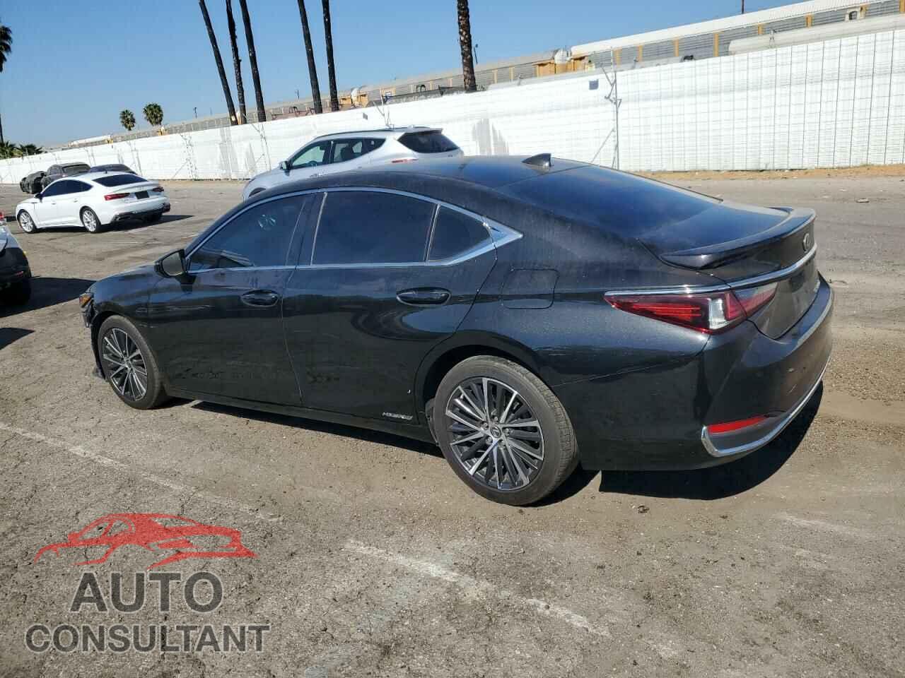 LEXUS ES300 2022 - 58ADA1C19NU026030