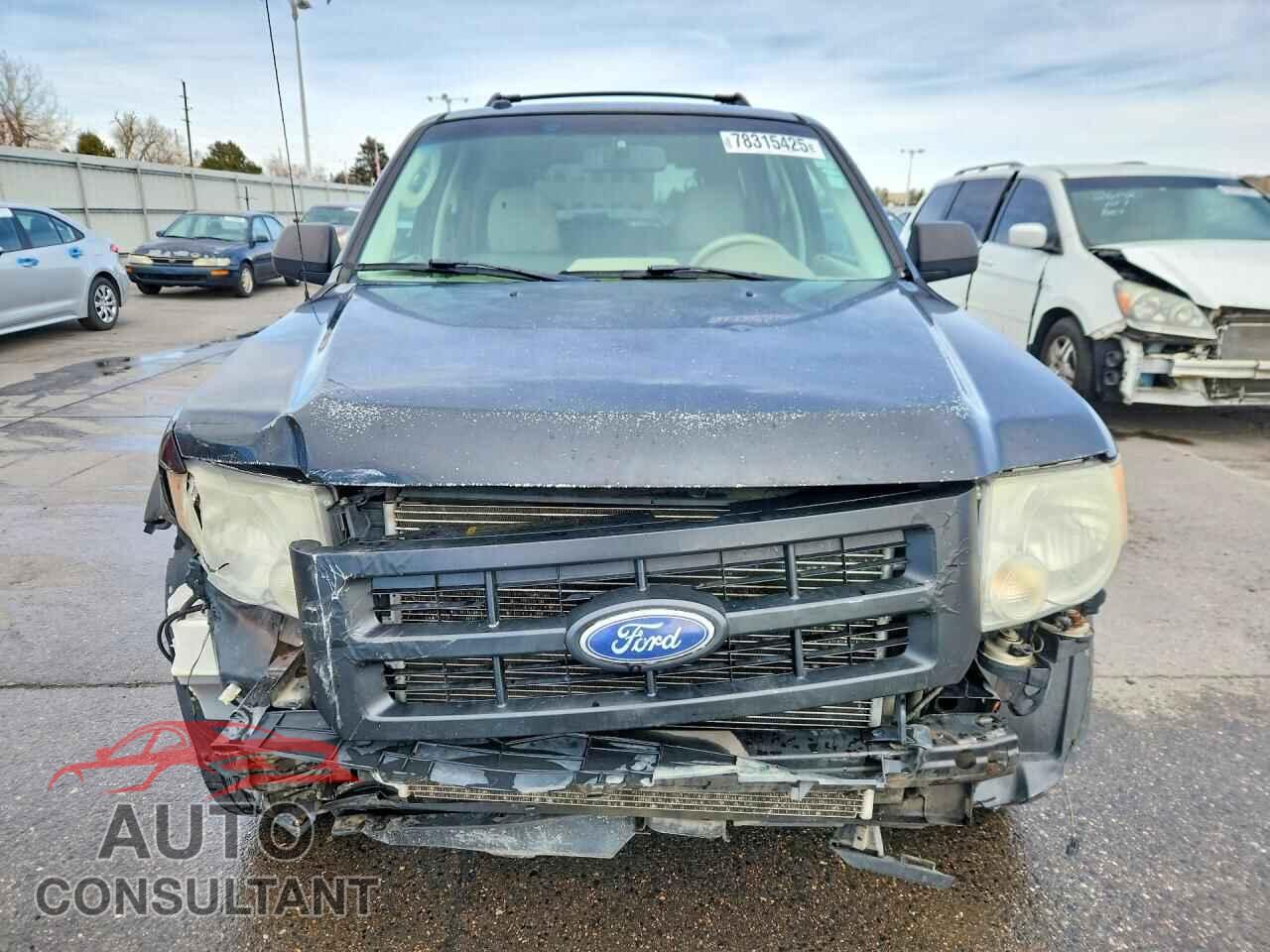 FORD ESCAPE 2010 - 1FMCU9DG7AKC73208