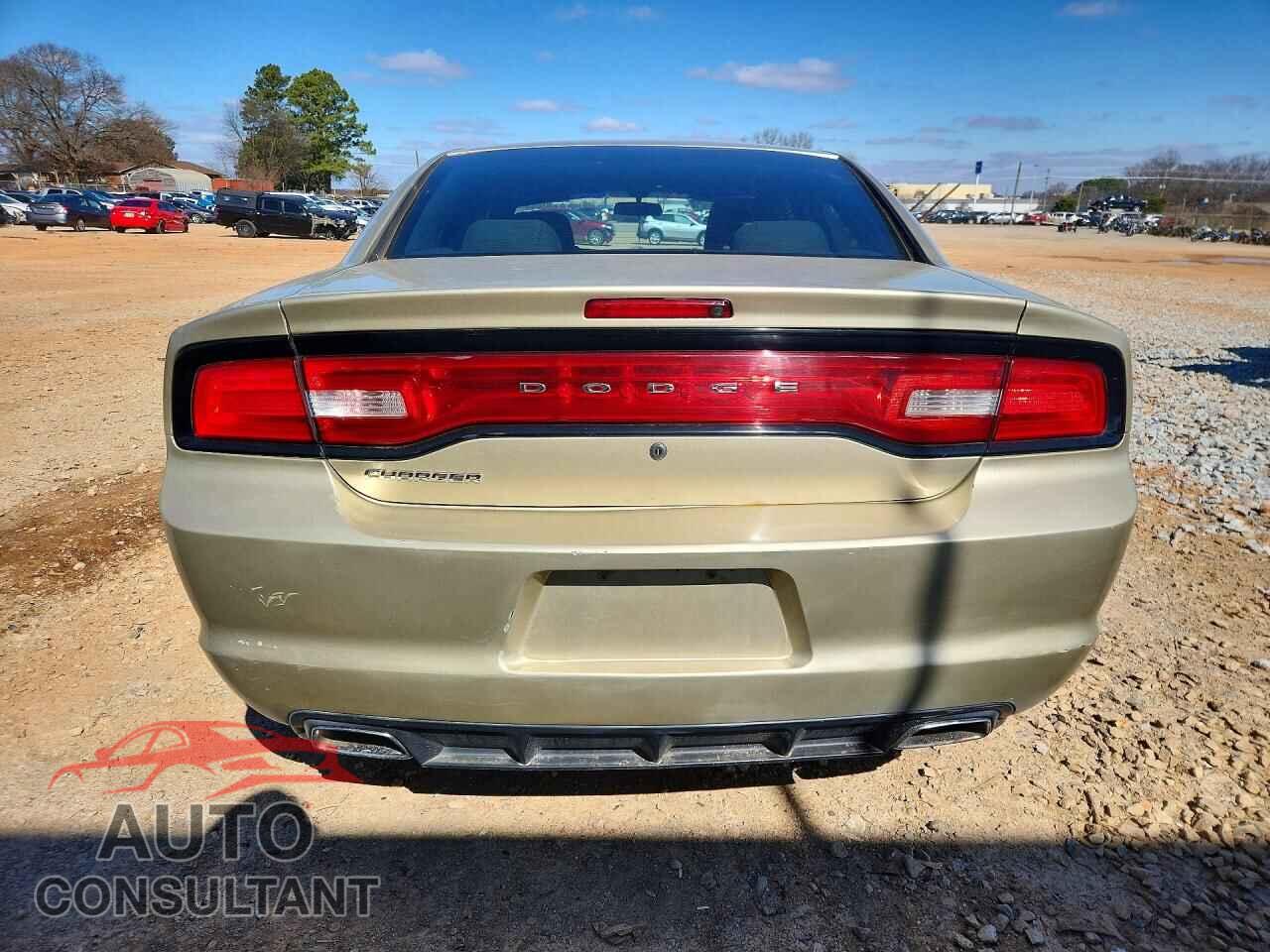 DODGE CHARGER 2013 - 2C3CDXAT2DH619644