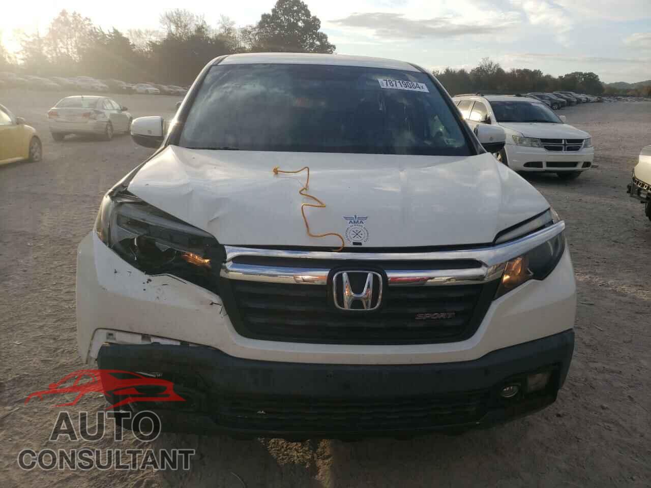 HONDA RIDGELINE 2019 - 5FPYK3F17KB014181