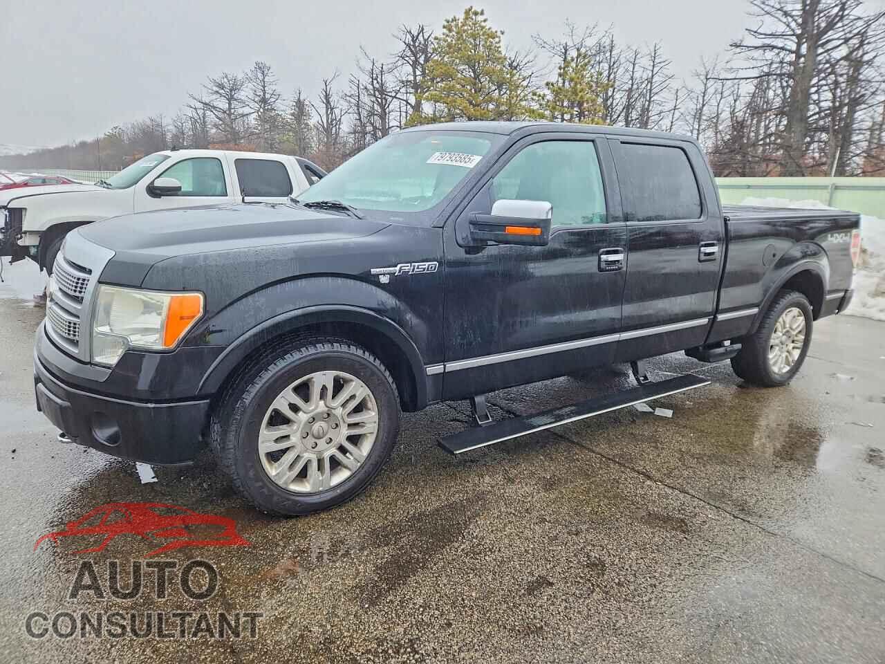 FORD UNKNOWN 2009 - 1FTPW14V29FB37749
