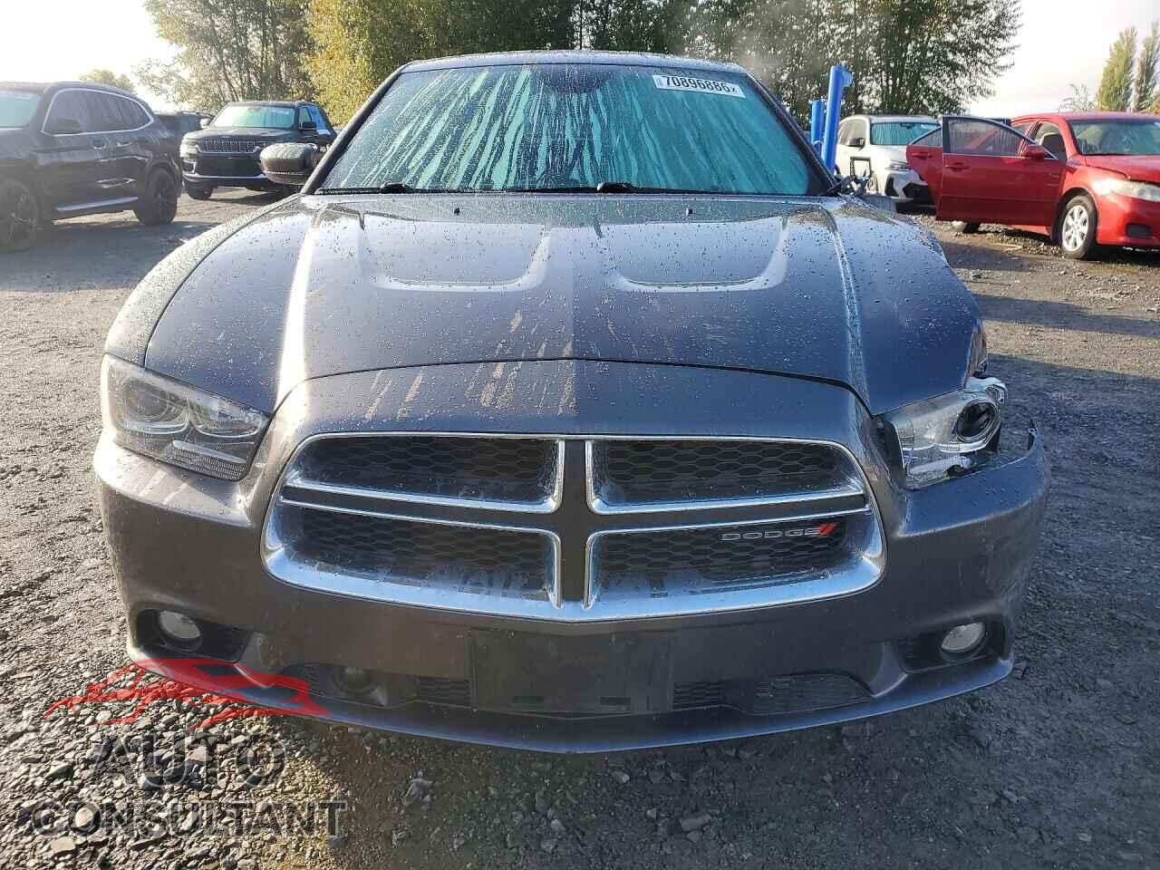 DODGE CHARGER 2014 - 2C3CDXCT6EH104595