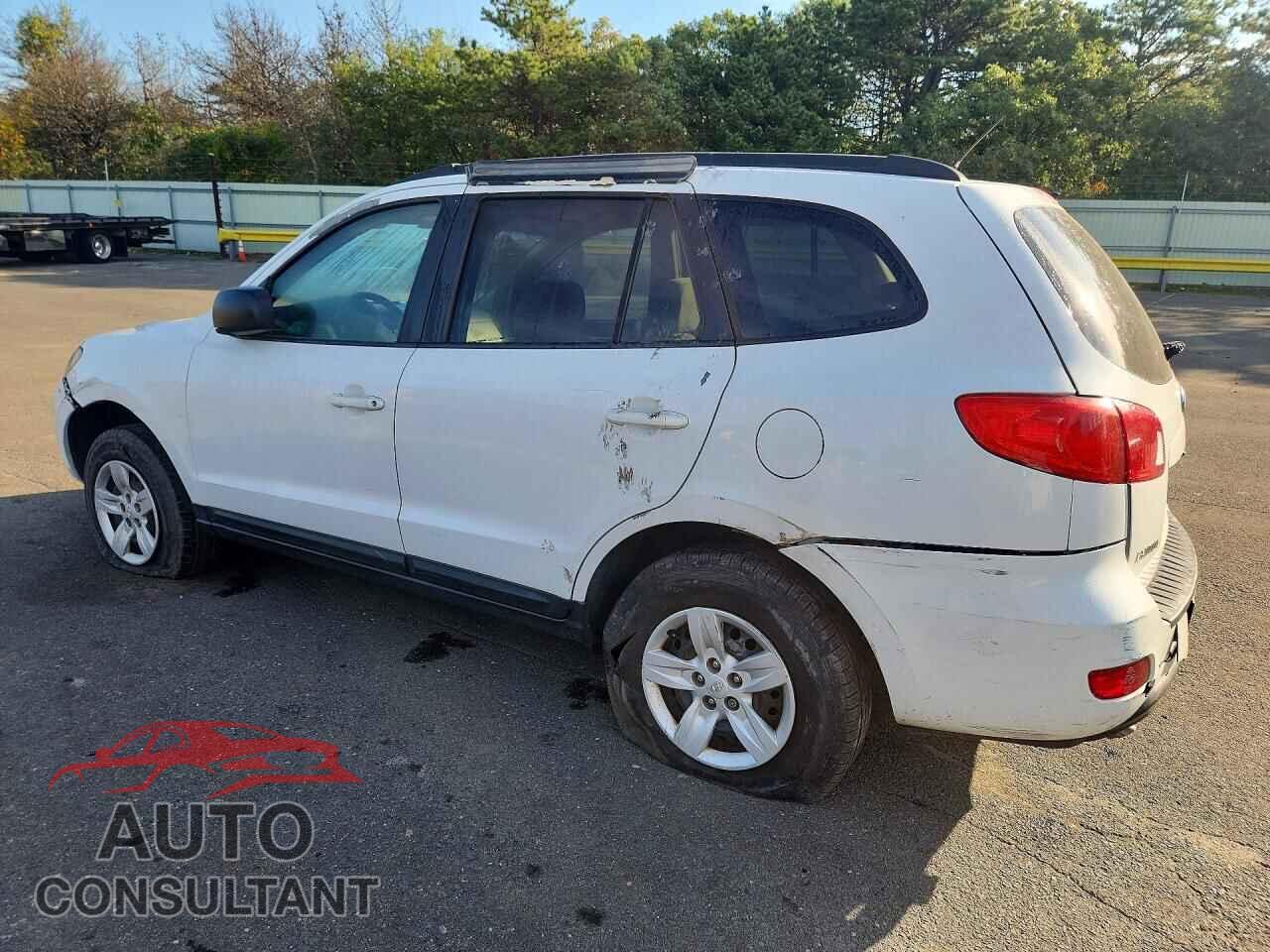 HYUNDAI SANTA FE 2009 - 5NMSG13D59H319514